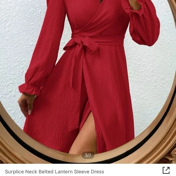 Belted Dress - Picture 5 of 5